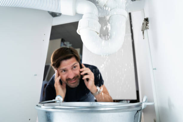 Best Faucet Repair  in Clarion, IA