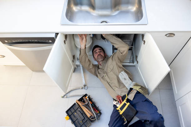 Best Clogged Drain Plumber  in Clarion, IA
